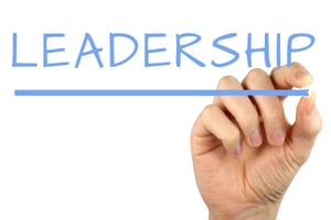 proactive leadership